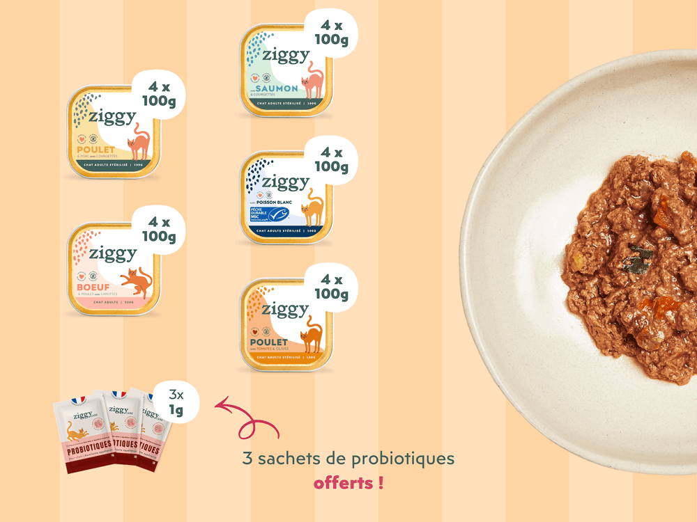 Coffret Découverte 5 Pâtées pour chat adulte stérilisé Ziggy