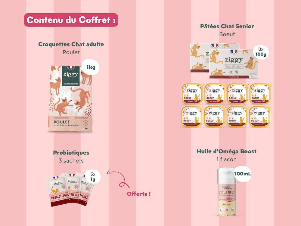 Composition du coffret chat senior