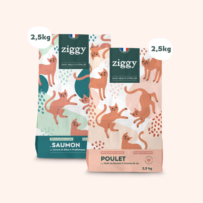 2 paquets de 2,5kg de croquettes pour chat adulte stérilisé au poulet et au Saumon de la marque Ziggy, recettes vétérinaires