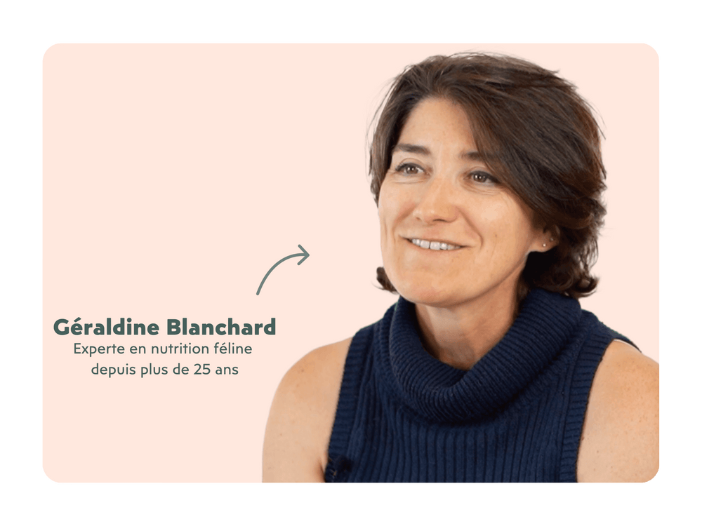 Dr Vétérinaire Géraldine Blanchard, experte en nutrition féline depuis plus de 30 ans
