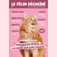 Couverture du Félin déchaîné, le magazine Ziggy écrit par des chats, pour des chats