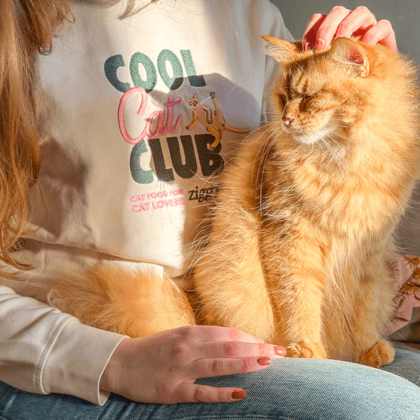 Pull Cool Cat Club de Ziggy
