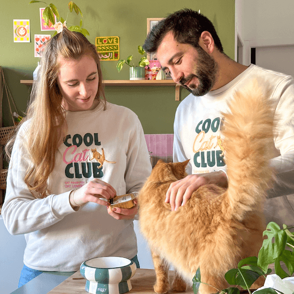 Pull Cool Cat Club de Ziggy