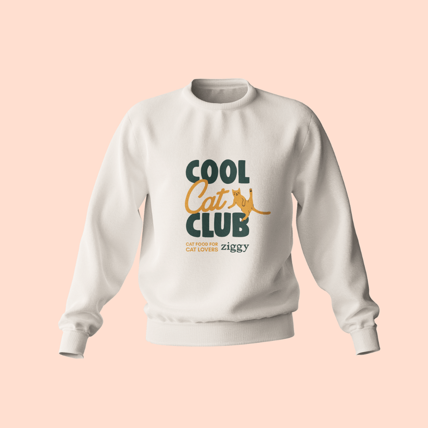 Pull Cool Cat Club de Ziggy