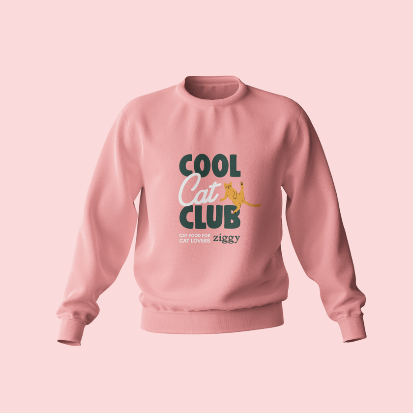 Pull Cool Cat Club de Ziggy