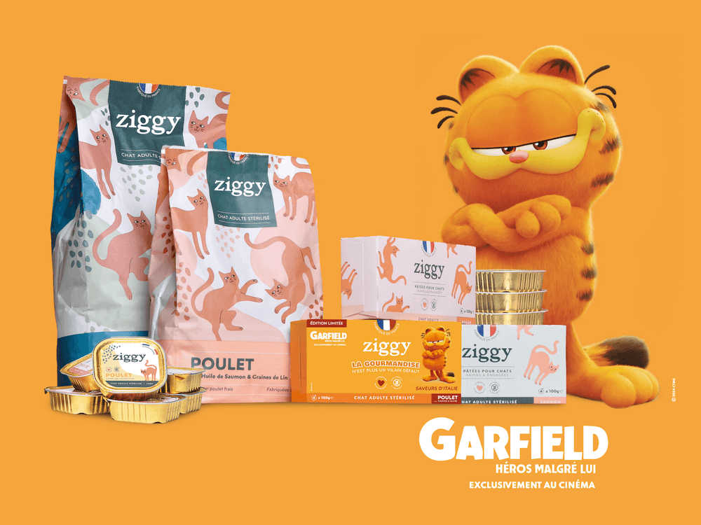 Campagne lancement du film Garfield, Héros malgré lui en collaboration avec Ziggy, la marque d'alimentation pour chat