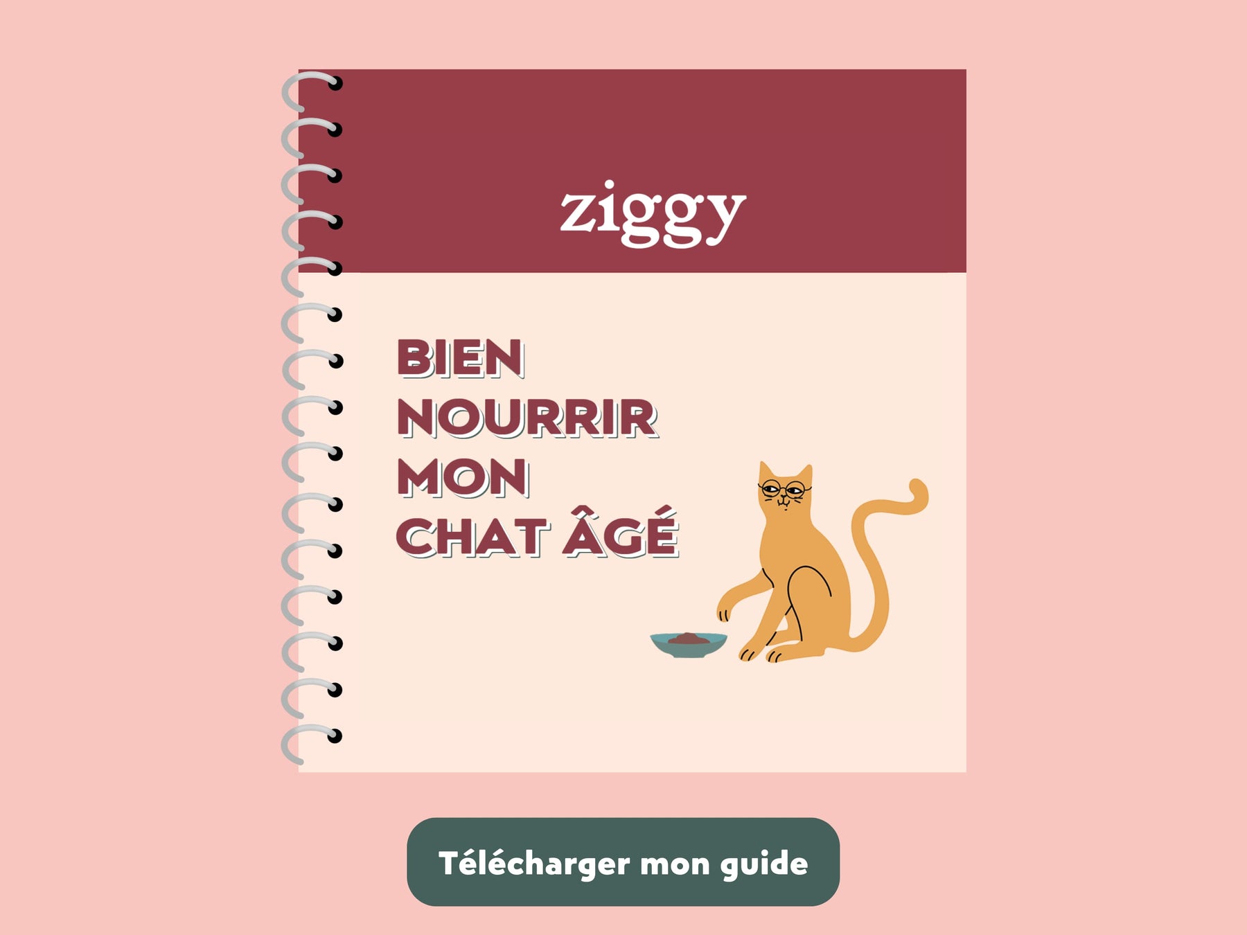 Guide bien nourrir son chat âgé