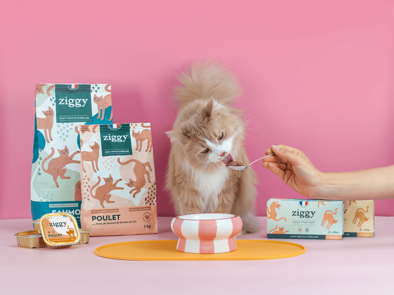 Chat adulte stérilisé qui lèche de la pâtée pour chat adulte stérilisé Ziggy et qui se tient à côté des croquettes, pâtées et accessoires Ziggy