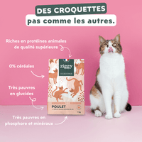 Les plus des croquettes pour chat Ziggy