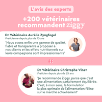 L'avis des vétérinaires sur les croquettes et pâtées pour chat Ziggy