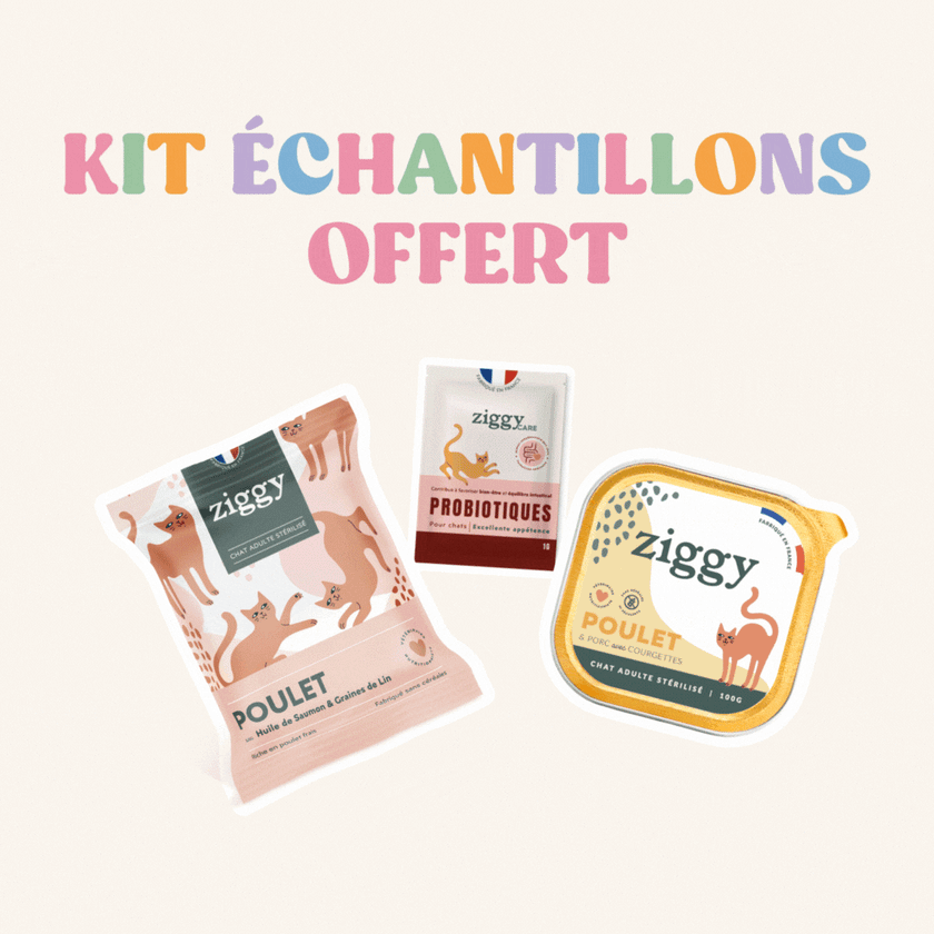 Kit échantillon chat adulte - retrait boutique Paris