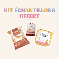 Kit échantillon chaton - retrait boutique Paris