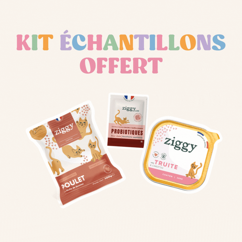 Kit échantillon chaton - retrait boutique Paris