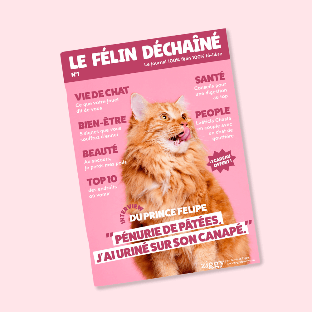 Couverture du magazine n°1 Ziggy pour les chats, le Félin Déchaîné