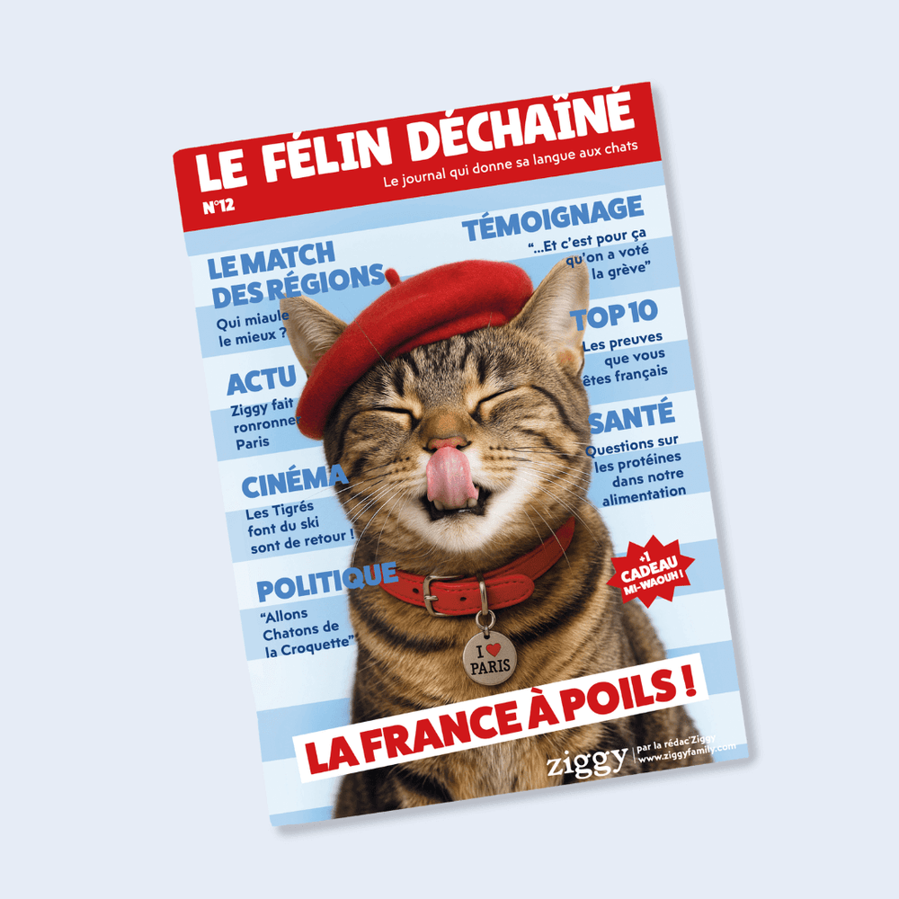 Couverture du magazine pour chat Le Félin Déchaîné de Ziggy