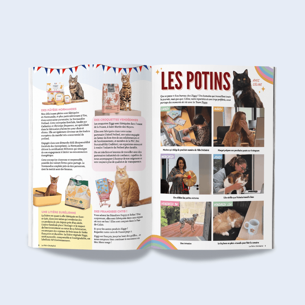 Couverture du magazine pour chat Le Félin Déchaîné de Ziggy