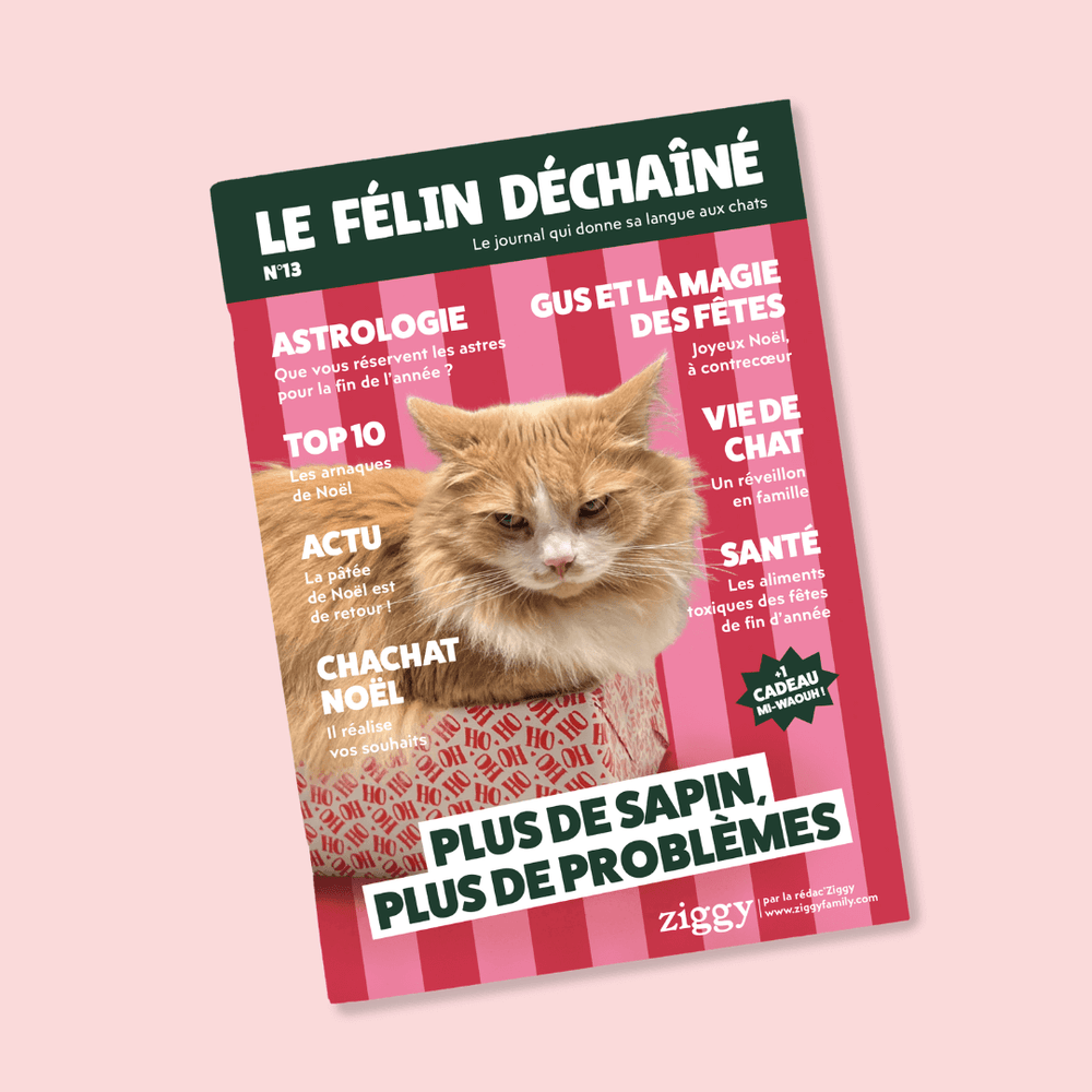 Félin Déchaîné - Édition n°13