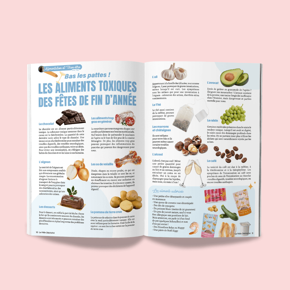 Félin Déchaîné - Édition n°13