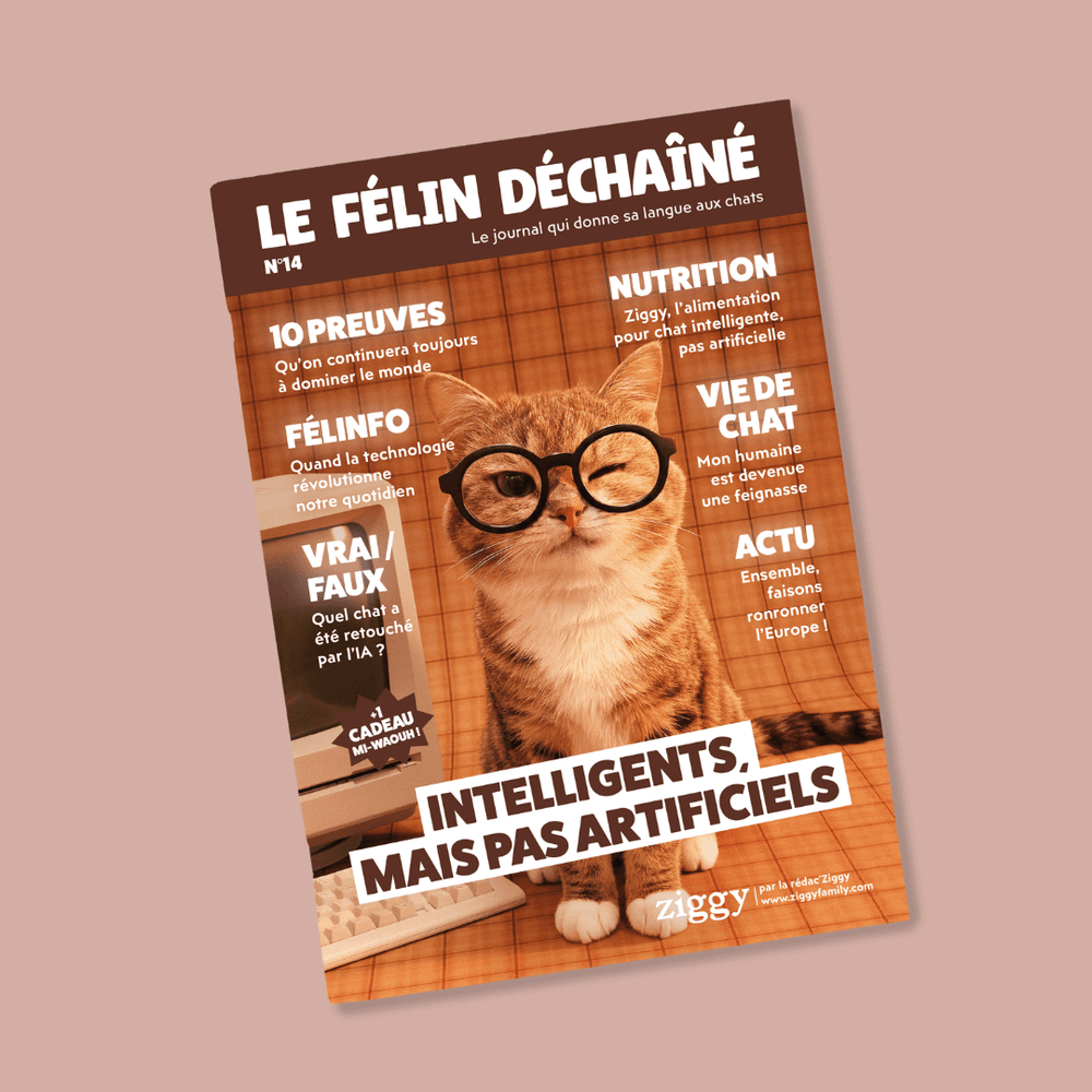 Couverture du magazine Ziggy Le Félin Déchaîné, édition n°14