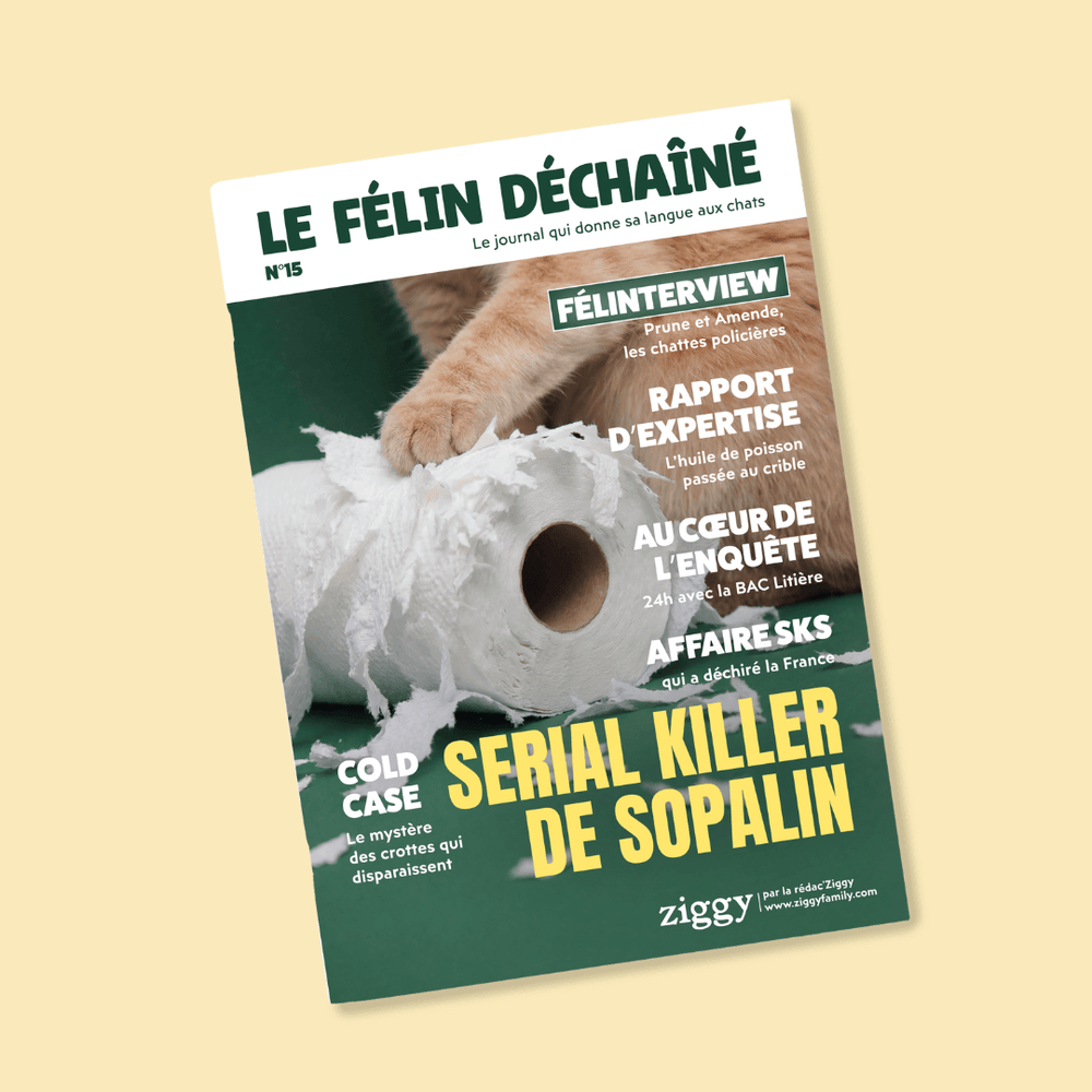 Couverture du Félin Déchaîné n°15