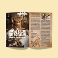 Couverture du Félin Déchaîné n°15