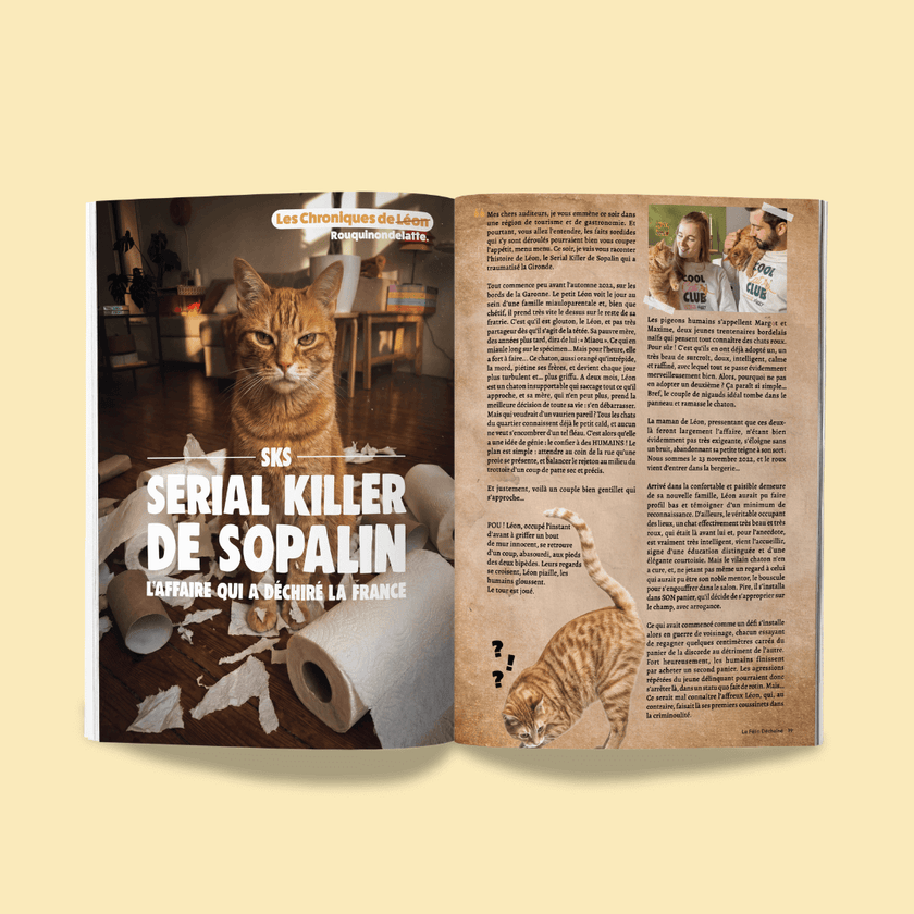 Couverture du Félin Déchaîné n°15