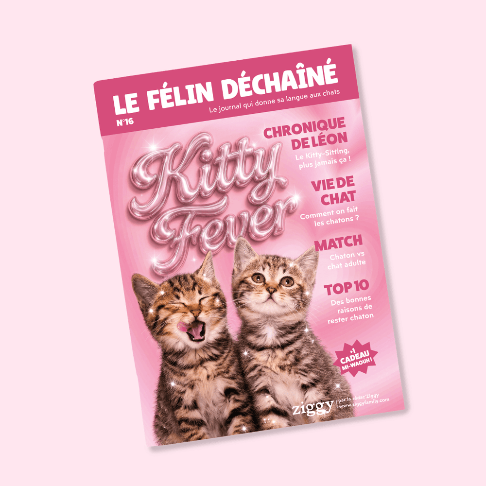 Félin Déchaîné - Édition n°16