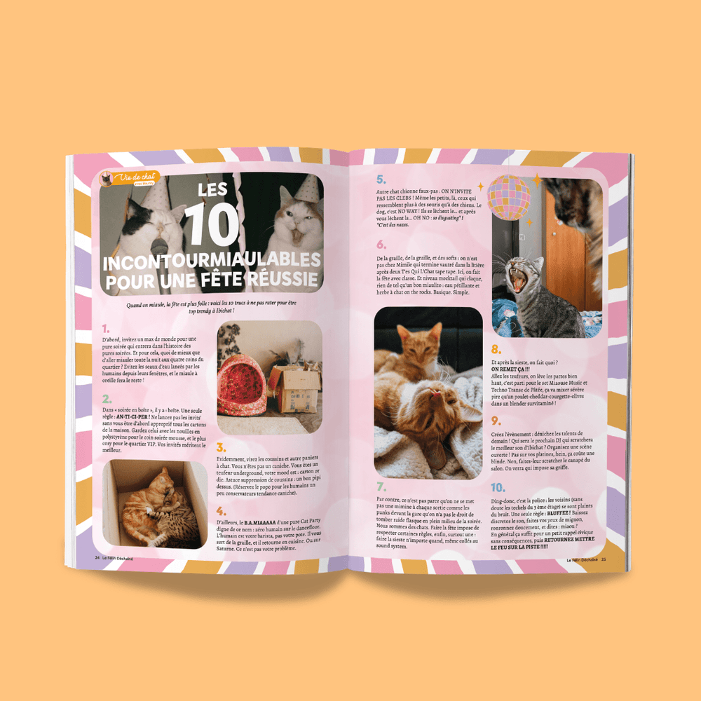 Le Félin Déchaîné numéro 17, magazine Ziggy sur la nutrition et le bien-être du chat