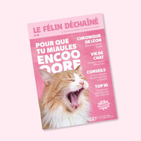 Couverture de magazine pour chat le Félin Déchaîné, édition n°18, de Ziggy