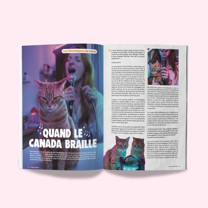 Le magazine pour chat le Félin Déchaîné, édition n°18, de Ziggy