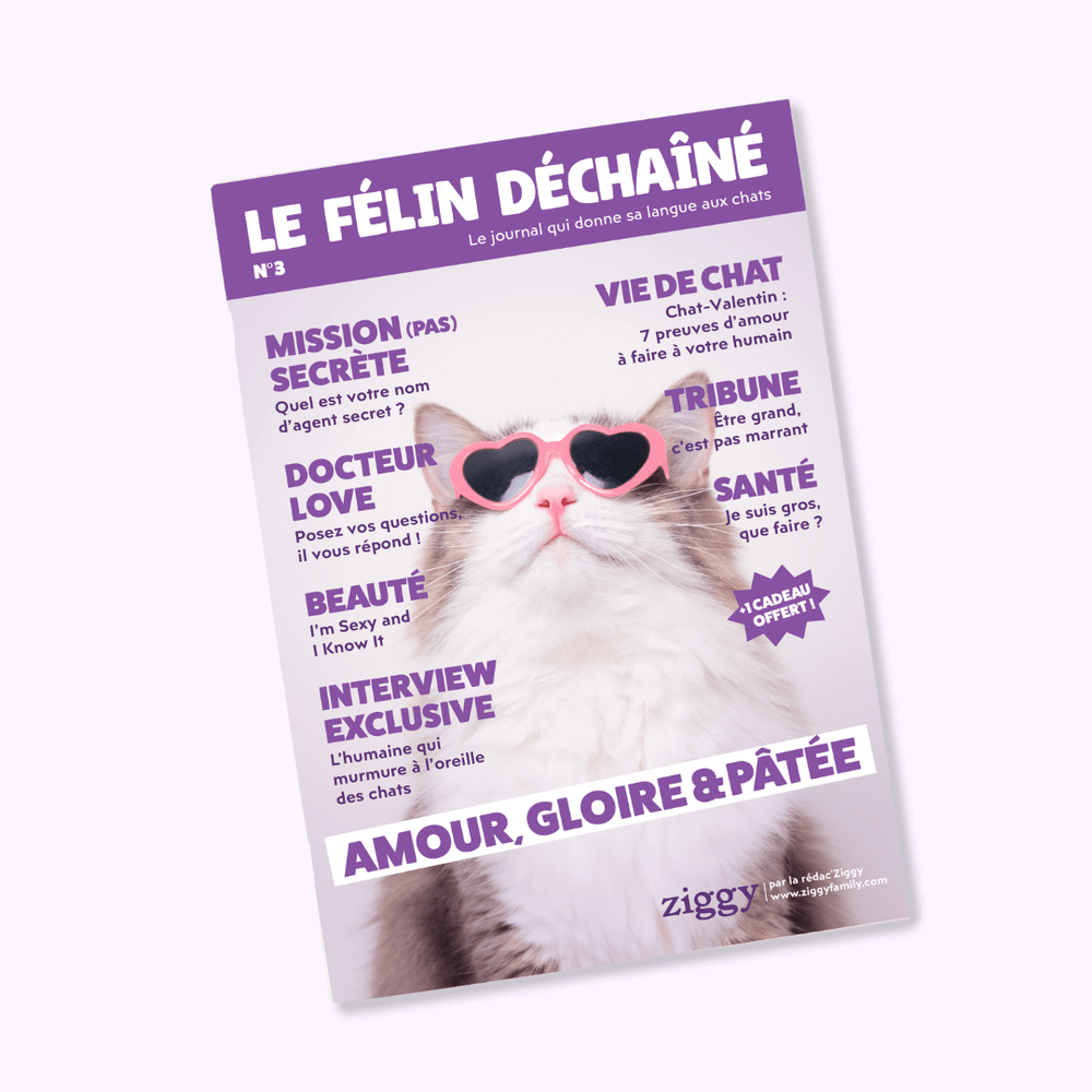 Couverture du magazine n°3 Ziggy pour les chats, le Félin Déchaîné