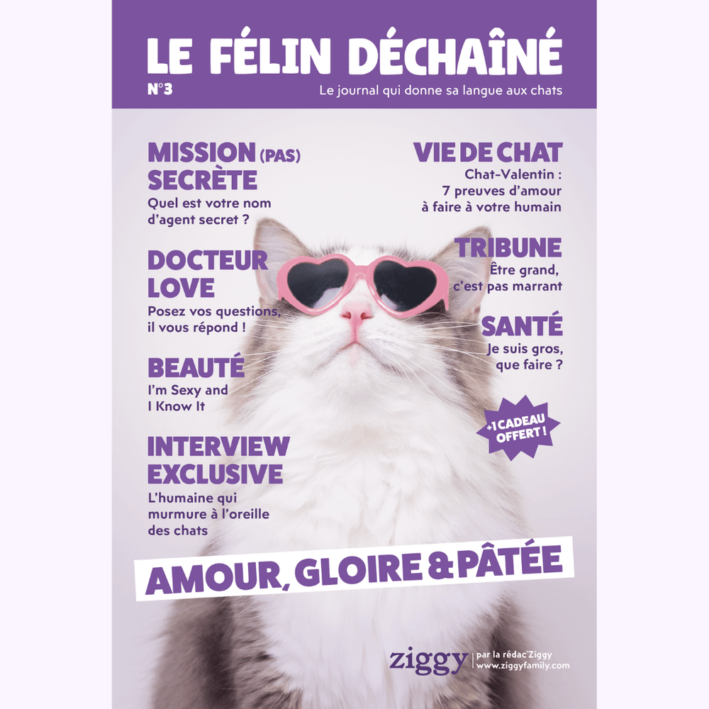 Couverture du Félin Déchaîné, le magazine de Ziggy, alimentation pour chats