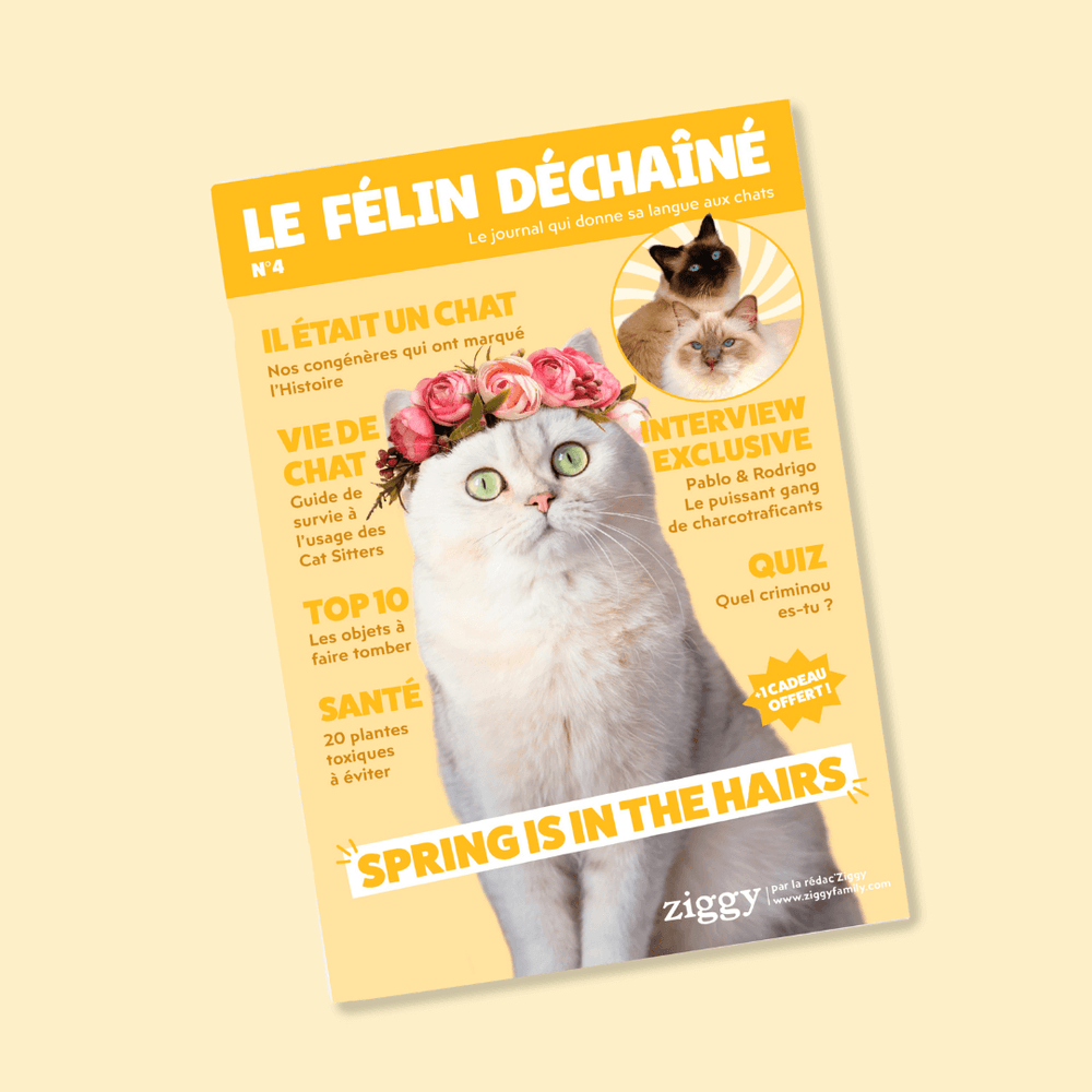 Couverture du magazine n°4 Ziggy pour les chats, le Félin Déchaîné