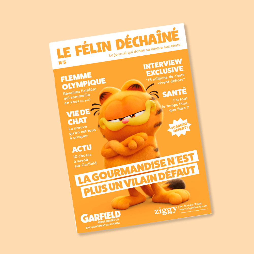 Couverture du magazine n°5 Ziggy pour les chats, le Félin Déchaîné