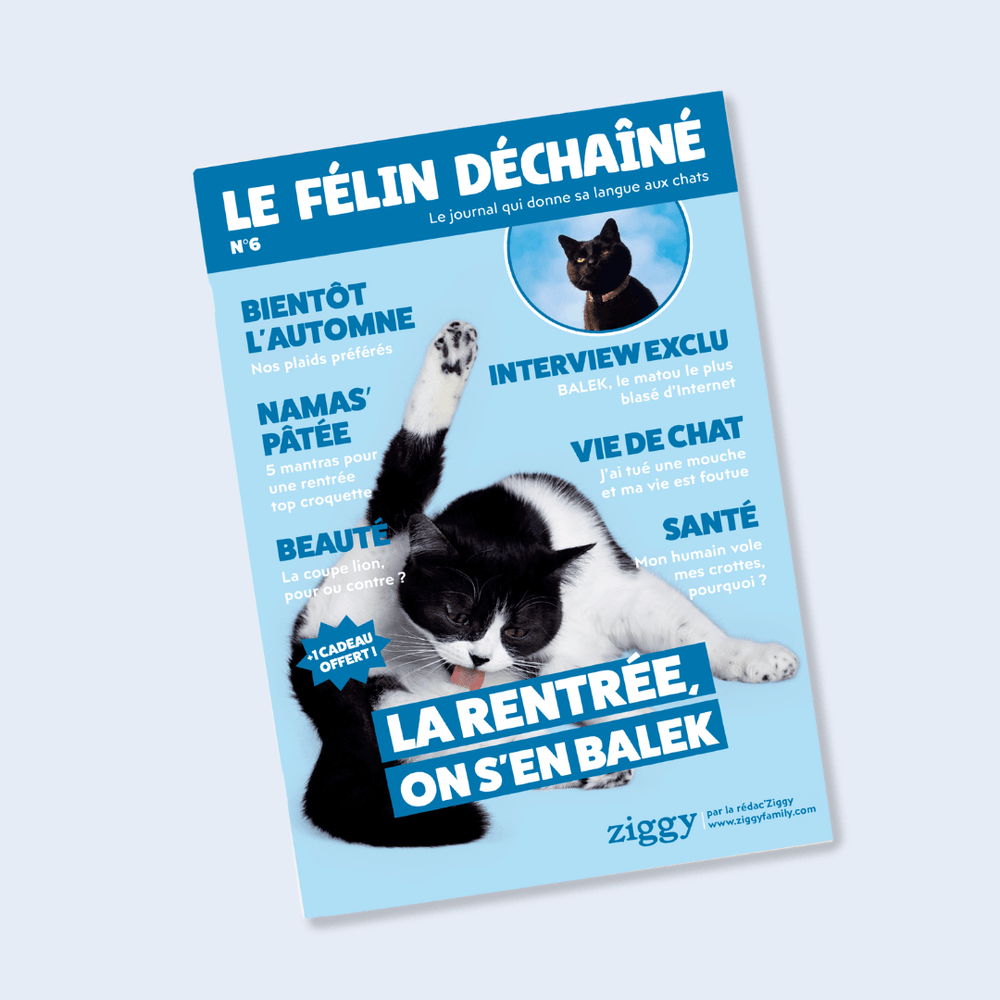 Couverture du magazine n°6 Ziggy pour les chats, le Félin Déchaîné