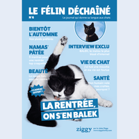 Couverture du magasine Le Félin Déchaîné n°6 de Ziggy, l'alimentation pour chats sans céréales