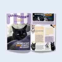 Page du magazine n°6 Ziggy pour les chats, le Félin Déchaîné