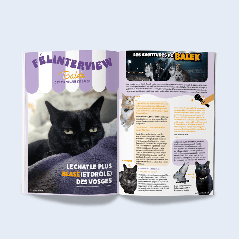 Page du magazine n°6 Ziggy pour les chats, le Félin Déchaîné