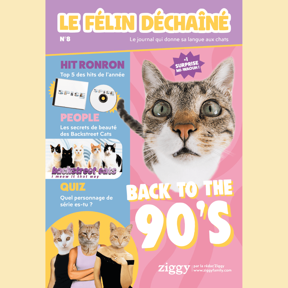 Couverture du magazine n°8 Ziggy pour les chats, le Félin Déchaîné