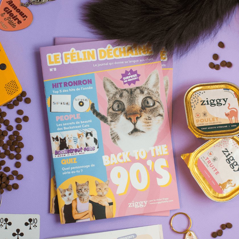 Couverture du Magazine le Félin Déchaîné de la marque pour chat Ziggy, édition n°8