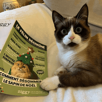 Chat avec le Félin Déchaîné, le magazine de Ziggy