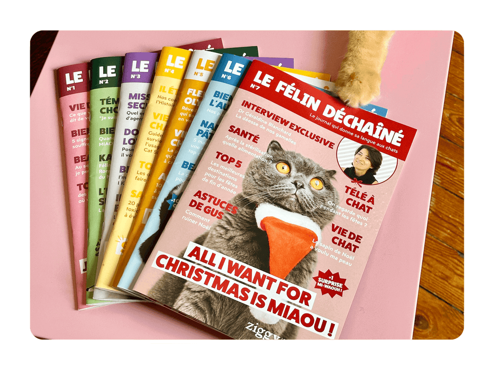 Tous les Félin Déchaîné Ziggy, magazine pour chat sur la vie des chats