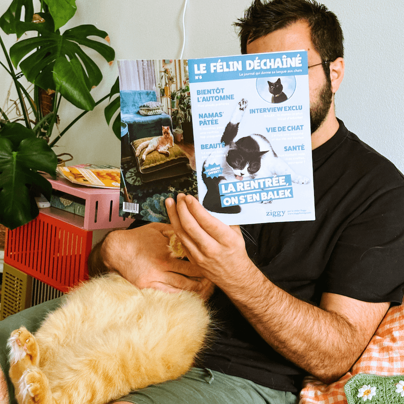 Couverture du magasine Le Félin Déchaîné n°6 de Ziggy, l'alimentation pour chats sans céréales