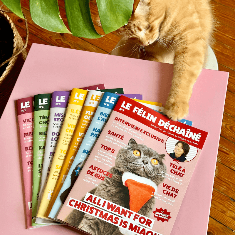 Couverture du magazine le Félin Déchaîné, édition n°7, magazine pour chat sur la vie des chats