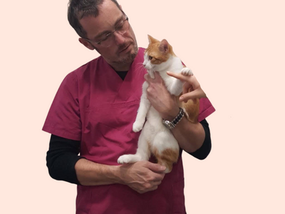Dr vétérinaire Christophe Vinet