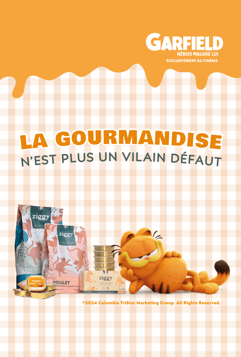 Garfield avec les croquettes et pâtées pour chat Ziggy