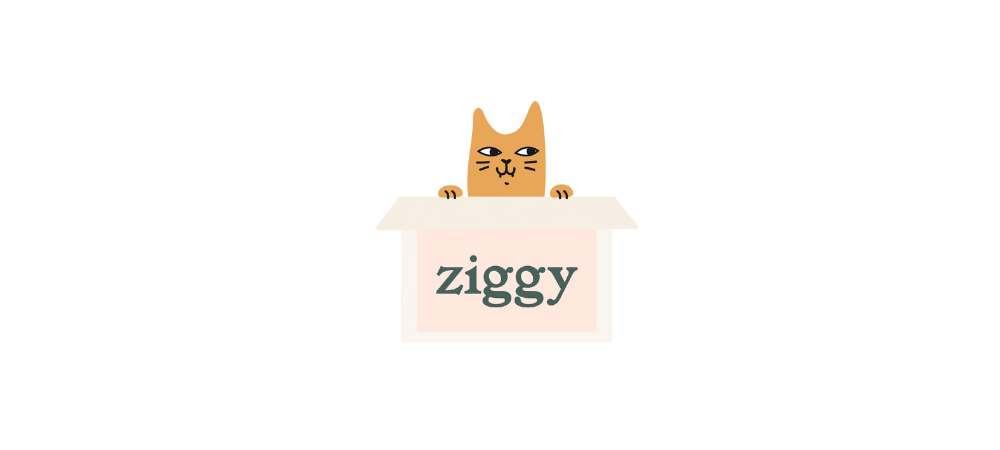 Illustration d'un chat dans un carton de la marque d'alimentation pour chat sans céréales Ziggy