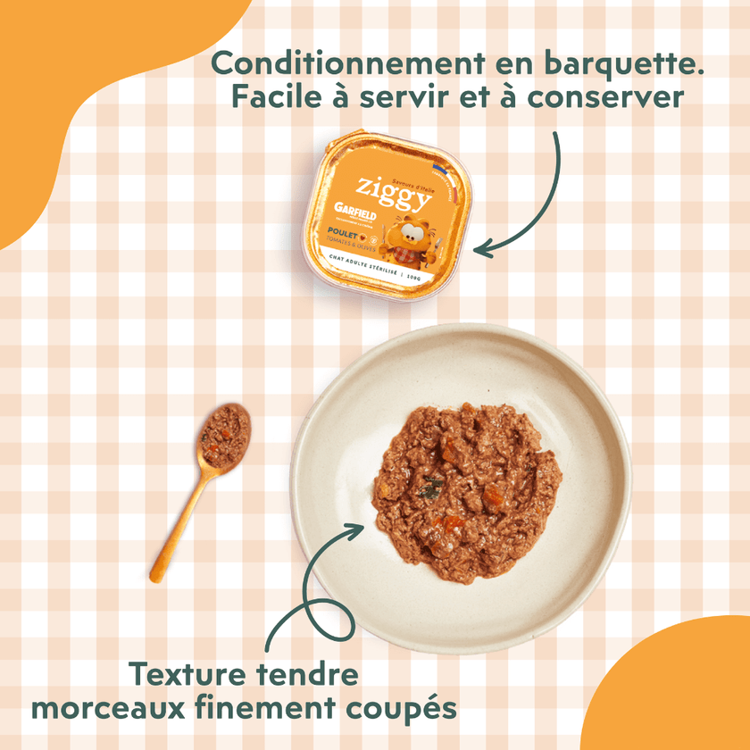 Texture et conditionnement de la pâtée pour chat adulte stérilisé au poulet Ziggy en édition limitée Garfield