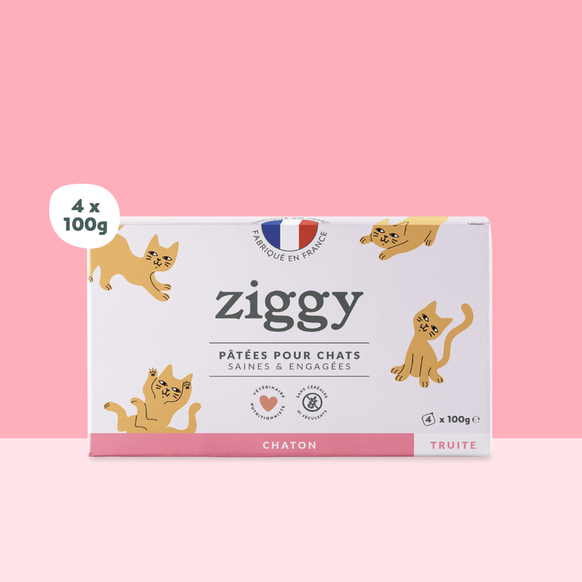 Boite de 4 pâtées Ziggy de 100g pour chaton à la truite