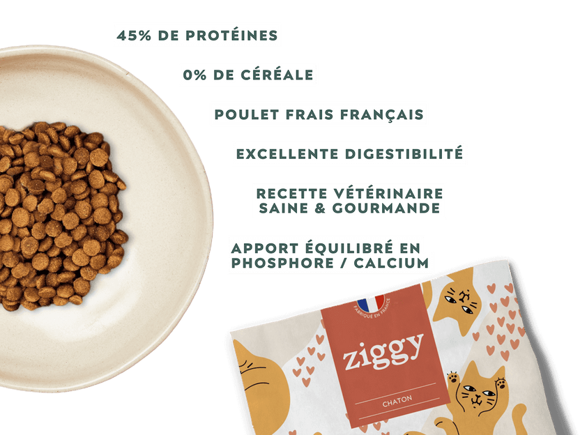 Croquettes Chaton Sans Céréales Poulet & Huile de Saumon Ziggy